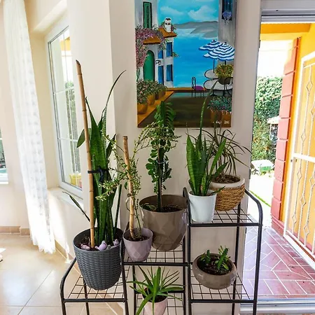 Semesterbostad Charming Villa With Garden Surrounded By Nature In Kartepe