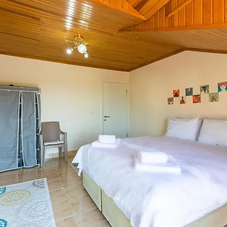Charming Villa With Garden Surrounded By Nature In Kartepe Semesterbostad *